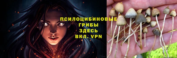 a pvp Белоозёрский