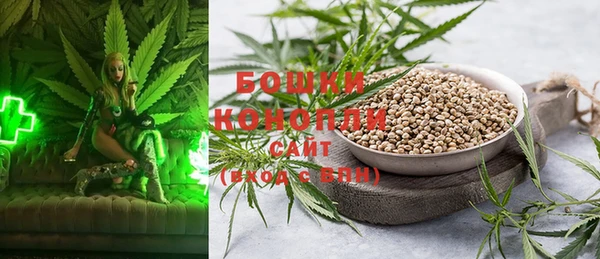 ПСИЛОЦИБИНОВЫЕ ГРИБЫ Беломорск