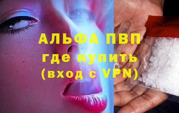 ПСИЛОЦИБИНОВЫЕ ГРИБЫ Беломорск