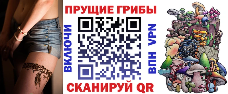 даркнет сайт  Комсомольск-на-Амуре  Галлюциногенные грибы Psilocybine cubensis 