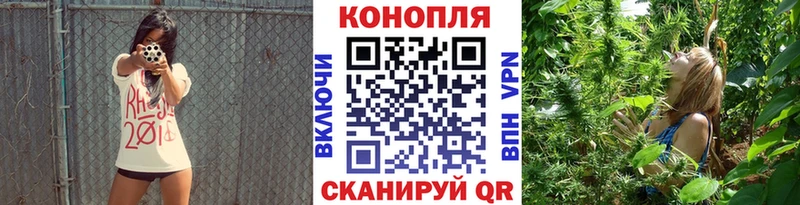 Бошки Шишки сатива Комсомольск-на-Амуре